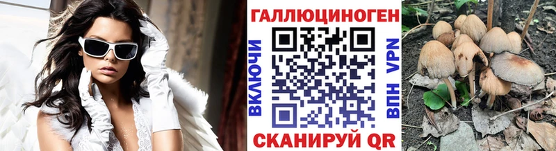 Галлюциногенные грибы мухоморы  Судак 