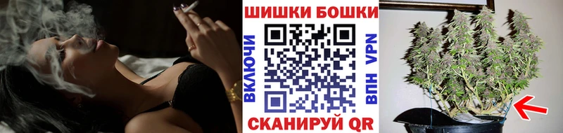 Каннабис OG Kush Судак